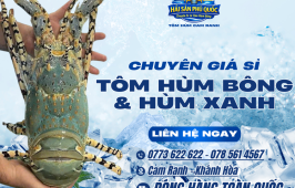 GIÁ SỈ TÔM HÙM BÔNG – HÙM XANH TOÀN QUỐC | NGUỒN HÀNG TƯƠI SỐNG CHO ĐẠI LÝ & CHỦ VỰA