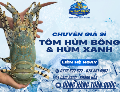 GIÁ SỈ TÔM HÙM BÔNG – HÙM XANH TOÀN QUỐC | NGUỒN HÀNG TƯƠI SỐNG CHO ĐẠI LÝ & CHỦ VỰA
