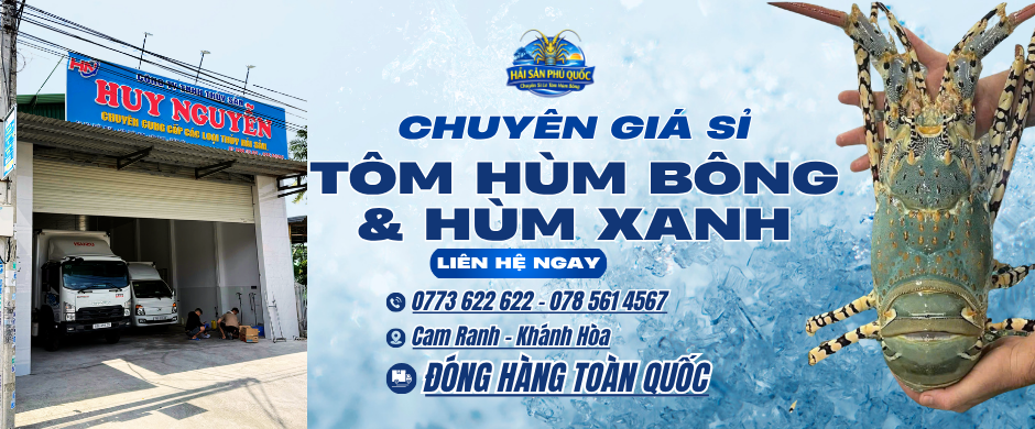 TÔM HÙM CAM RANH SỈ LẺ
