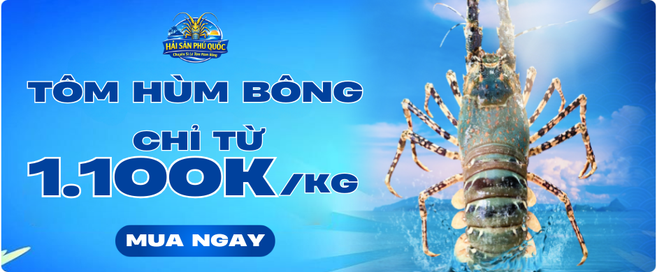 BANNER TÔM HÙM BÔNG